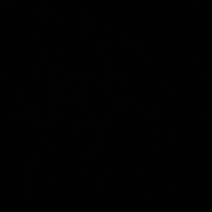 Meet your Posher, Sabrina